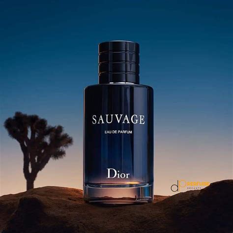 dior sauvage generic|Dior Sauvage decant.